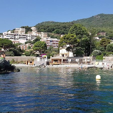 Charmant Studio Climatise Avec Parking, Au Coeur De Pietranera, Plage A 500M, Bastia A 2Km Ville-di-Pietrabugno エクステリア 写真